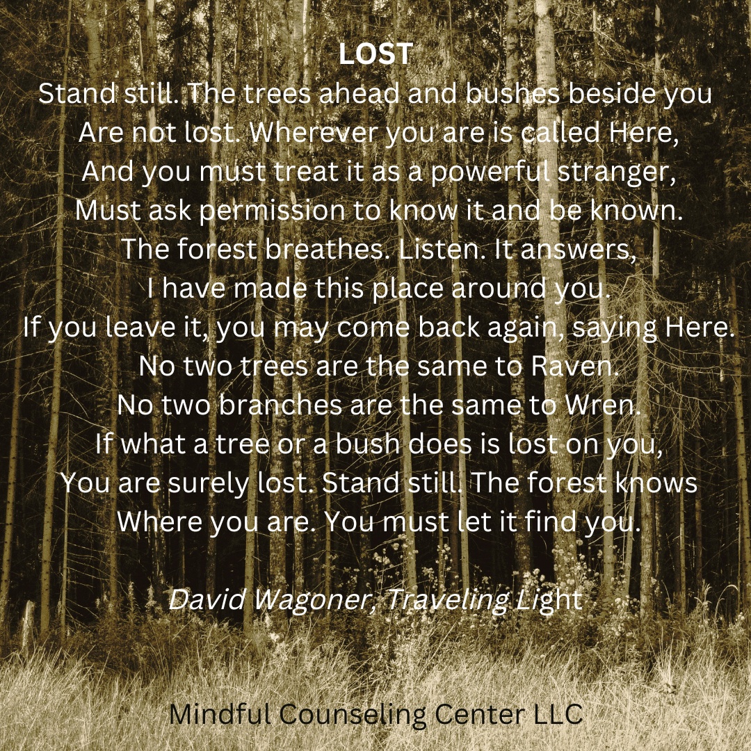 Lost 