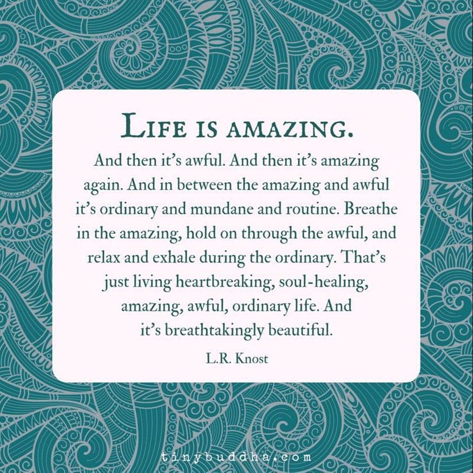 Life is Amazing 